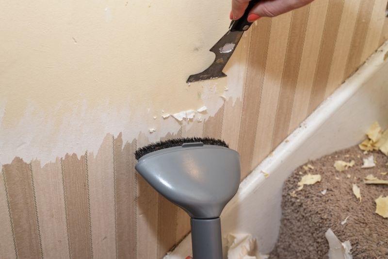 Wallpaper Stripping